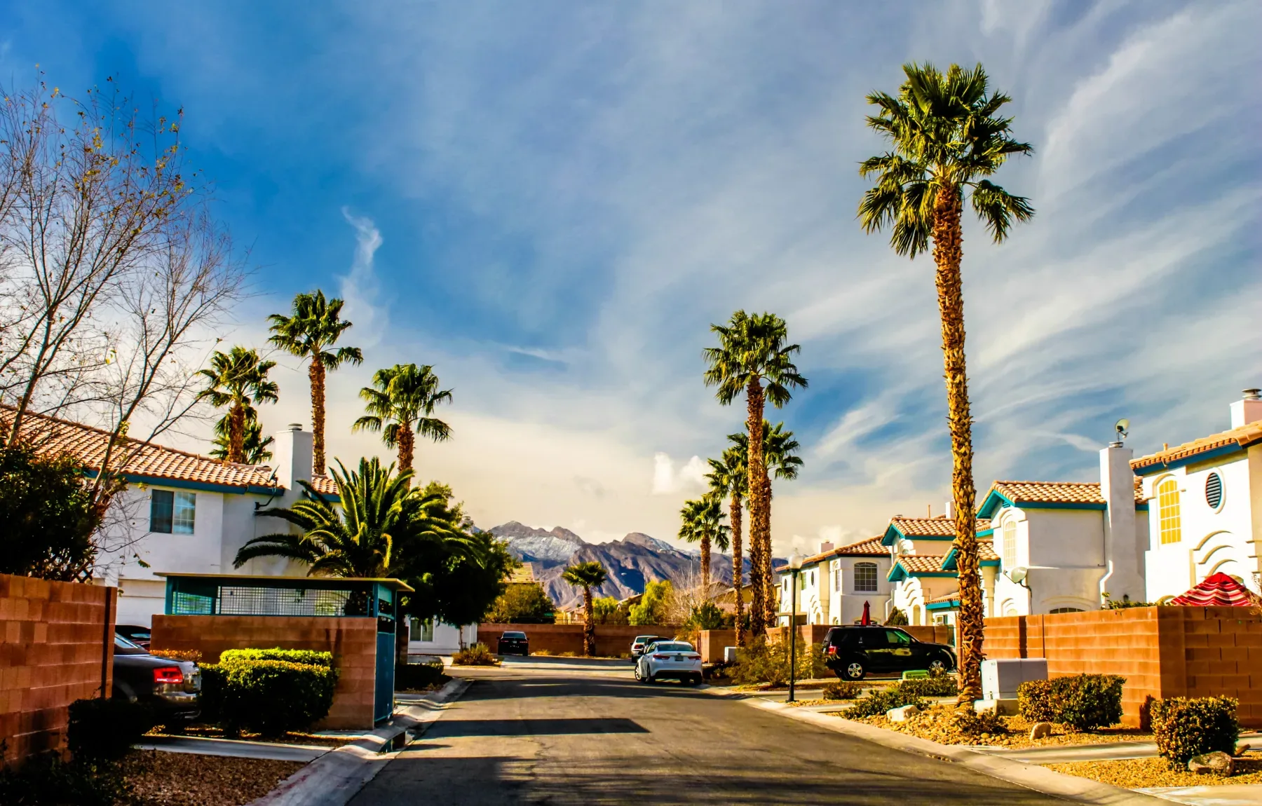 A well-maintained residential street lined with mature palm trees and Spanish-style homes showcasing professional landscape d